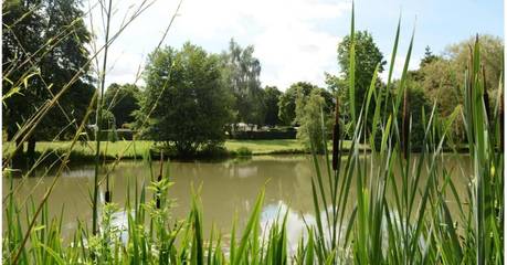 Gîte pour 8 personnes, avec jardin et sauna, animaux acceptés à Verdelot