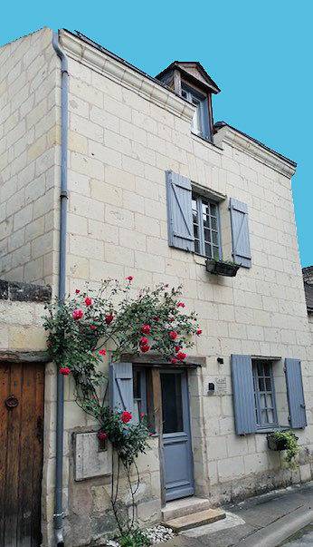 Gîte pour 4 personnes, avec terrasse à Montsoreau