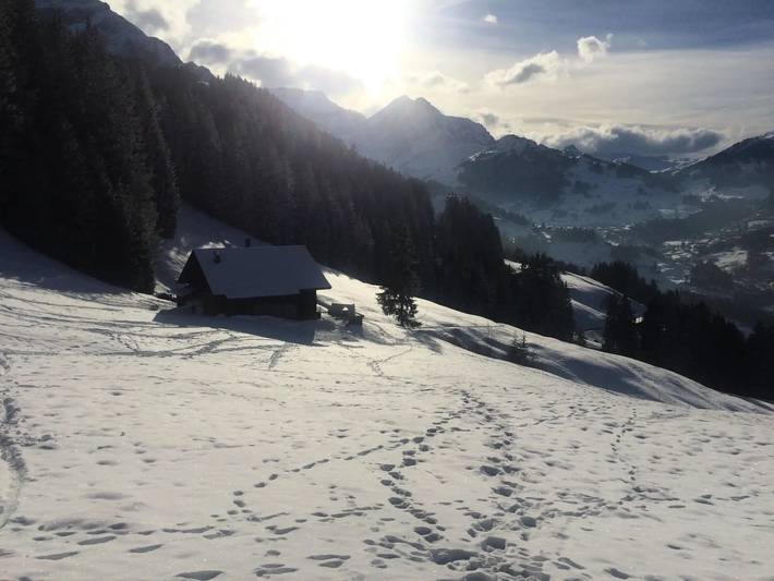 Ganze Wohnung, 4 Pièces 8 Personnes in Adelboden, Frutigen - Lenk - Adelboden