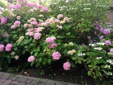 Ferienwohnung für 3 Personen in Sylt (Gemeinde), Sylt, Bild 4