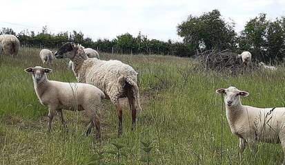 Gîte pour 6 Personnes dans Suin, Région de Charolles, Photo 4