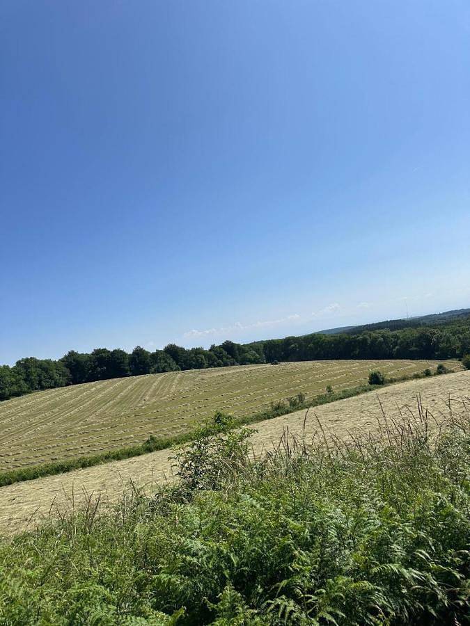 Tente pour 4 personnes, avec jardin, animaux acceptés dans le Tarn - 4