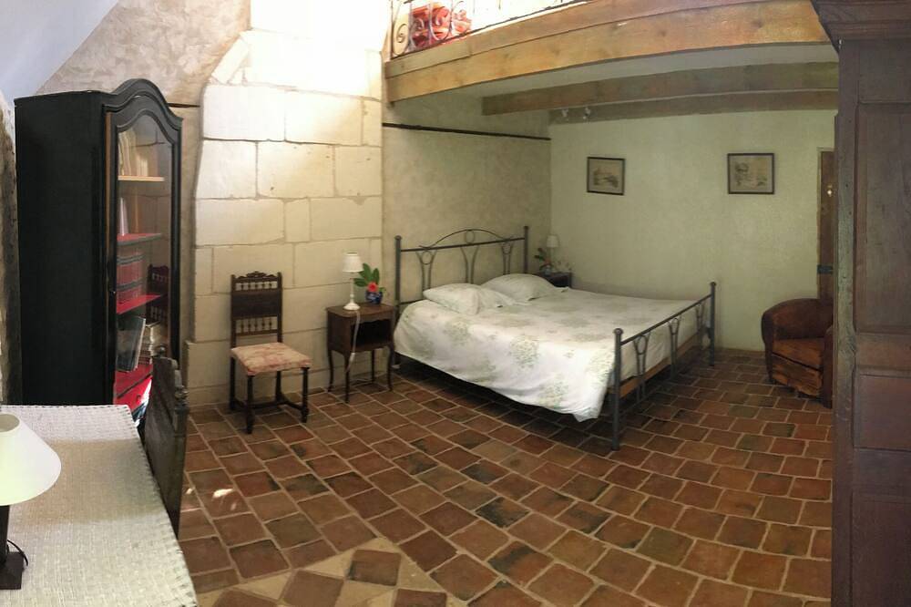Gîte spacieux en Touraine du Sud idéal pour se retrouver en famille. in Cussay, Région de Loches