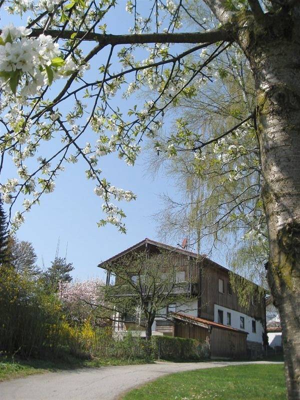 Ganze Ferienwohnung, Ferienwohnung am Grüngürtel - Ferienwohnung 76 qm, Souterrain, 1 Schlafzimmer, Wohn-Esszimmer, Küche, Wc extra in Laufen, Rupertiwinkel