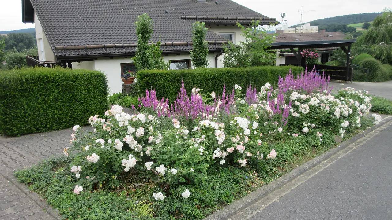 Ganze Ferienwohnung, Ferienwohnung für 4 Personen (85 m²) in Bad König in Bad König, Main-Odenwald