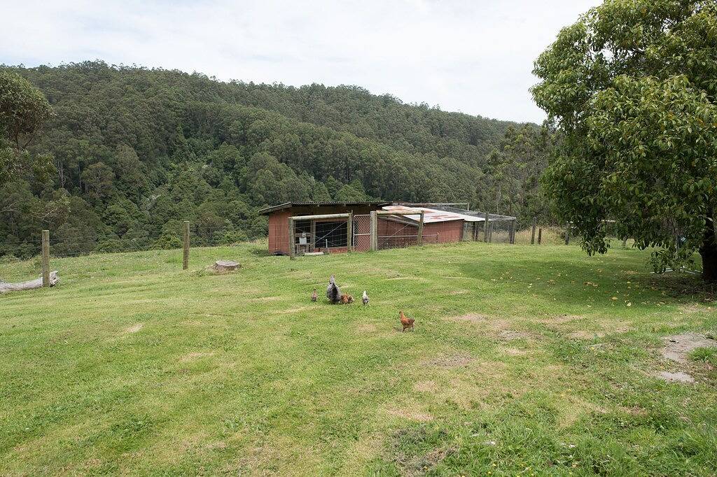 Top of the Otways the Nature Lodge in Wye River, Colac Otway Shire