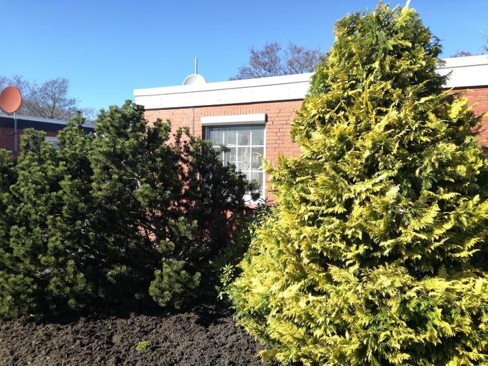 Ferienhaus für 3 Personen, mit Terrasse und Garten in Dornum - 3