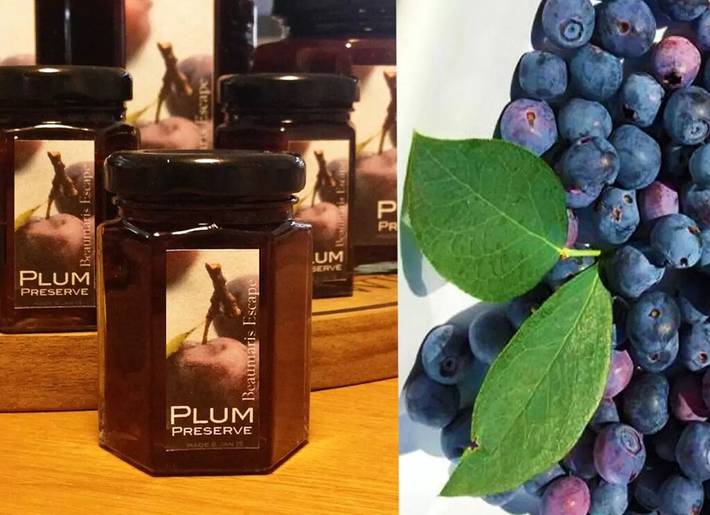 Chalet for 12 people in Western Australia