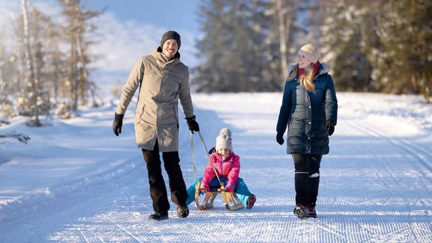Appartement voor 2 personen, with balkon and zwembad as well as sauna in Mittersill