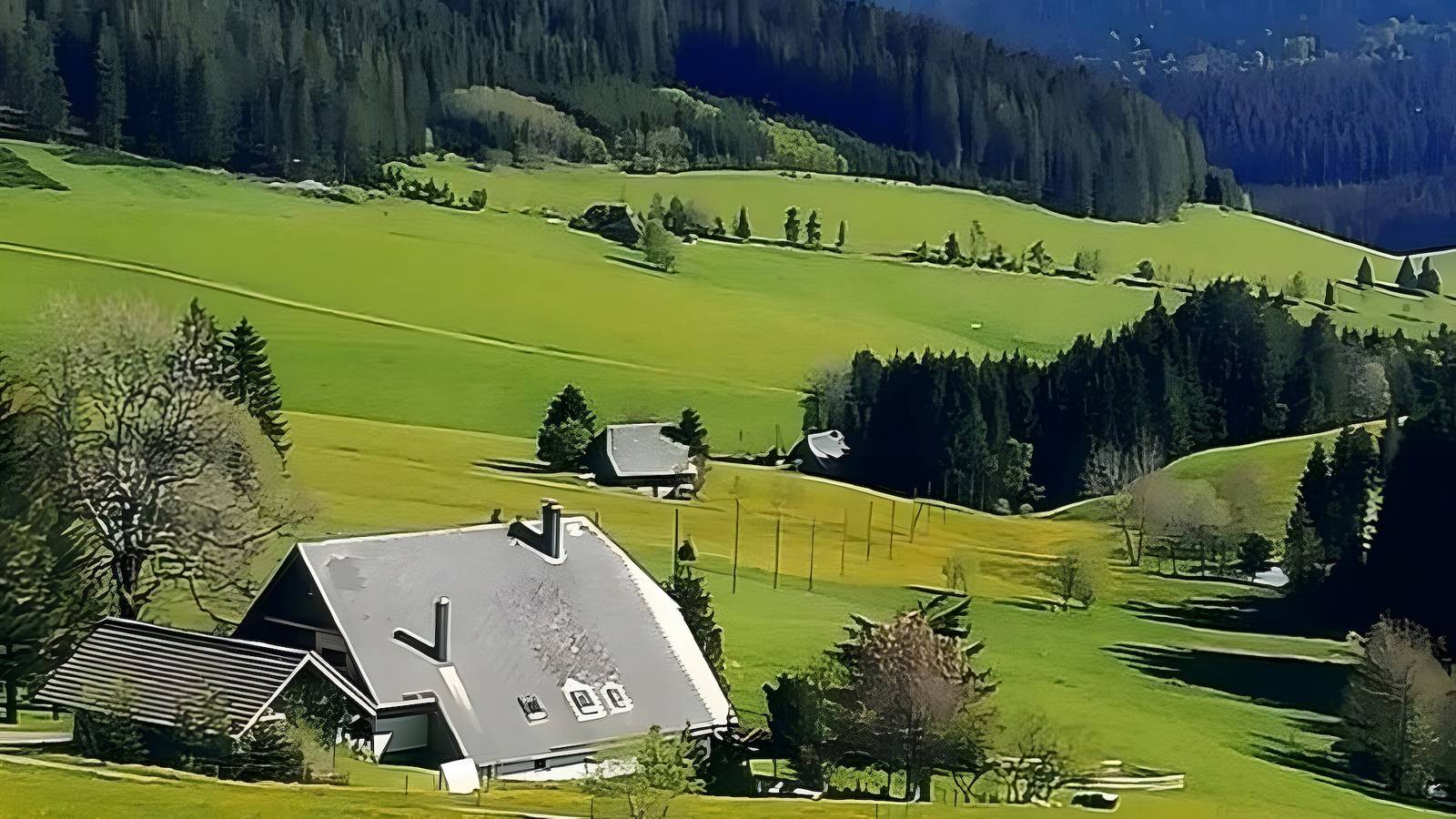 Ganze Wohnung, Ferienwohnung Sommerruhe im Jostal bei Titisee in Titisee-Neustadt, Südschwarzwald