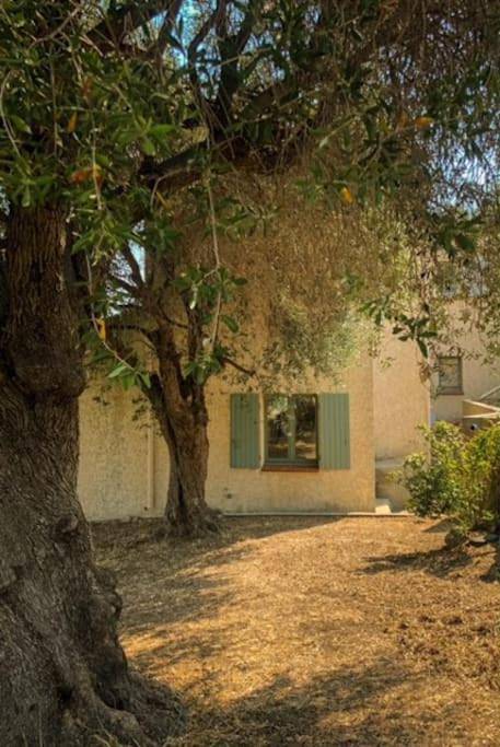 Location de vacances pour 6 personnes, avec vue et jardin à Cateri - 3