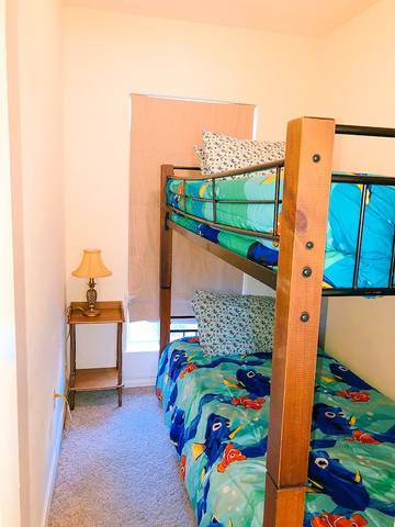 Vacation Home for 16 Guests in South Padre Island, Padre Island, Picture 3