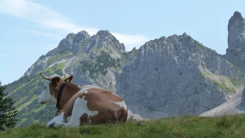 Ferienwohnung für 2 Personen, mit Balkon in Alpenwelt Karwendel - 4