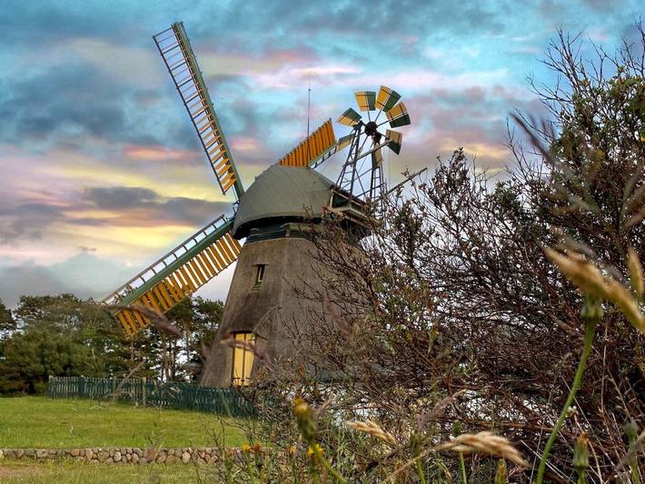 Ganze Wohnung, Gundt Amrum - Ferienwohnung Vogelkoje in Nordfriesische Inseln (Schleswig-Holstein) (Schleswig-Holstein), Nebel