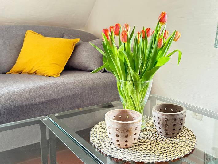 Ferienhaus für 4 Personen, mit Balkon, kinderfreundlich in Maasholm - 2