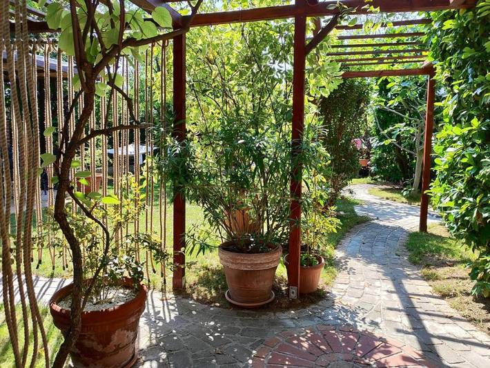 Ferienhaus für 19 Personen, mit Garten und Pool in Wien - 4