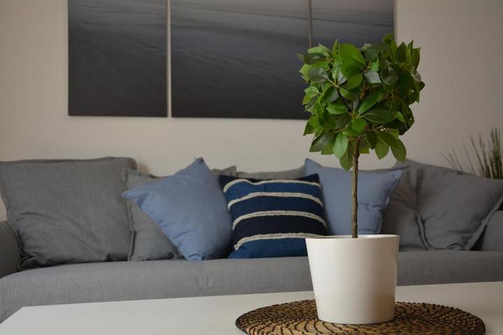 Apartamento de vacaciones para 6 personas, con terraza - 1