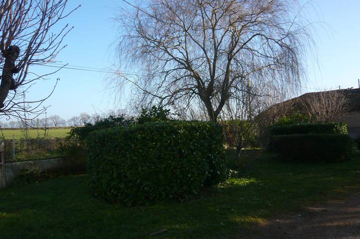 Chambre d’hôte pour 3 personnes, avec jardin dans la Loire - 3