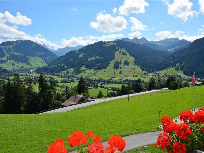 Gîte pour 5 personnes, avec jardin à Saanen - 3