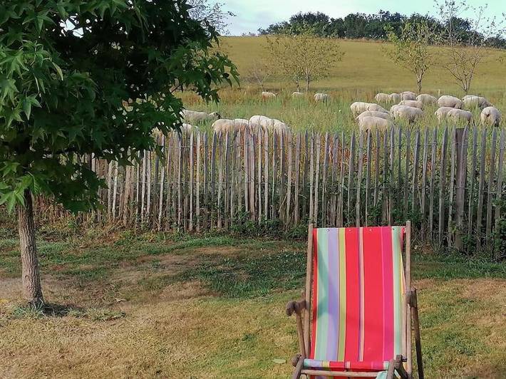 Location de vacances pour 13 personnes, avec jardin ainsi que terrasse et piscine à Ozenx-Montestrucq - 4