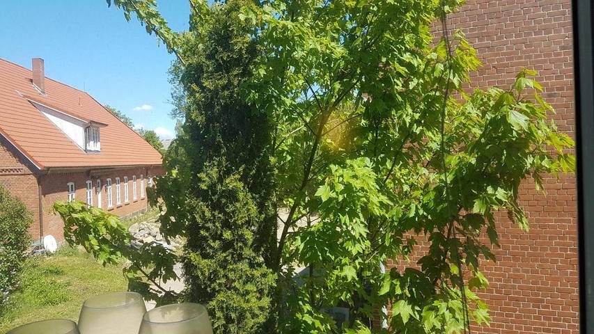Ferienhaus für 7 Personen, mit Ausblick und Garten in Lüneburg und Umgebung - 3