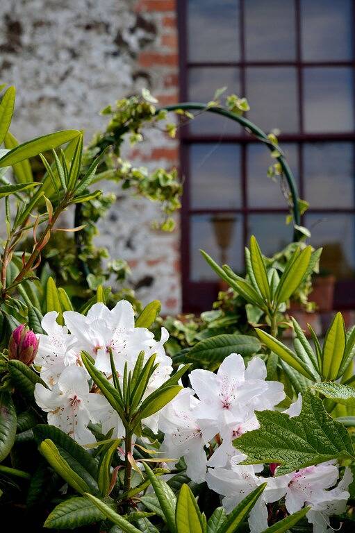 Gîte pour 4 personnes, avec jardin et balcon à Hobart - 3