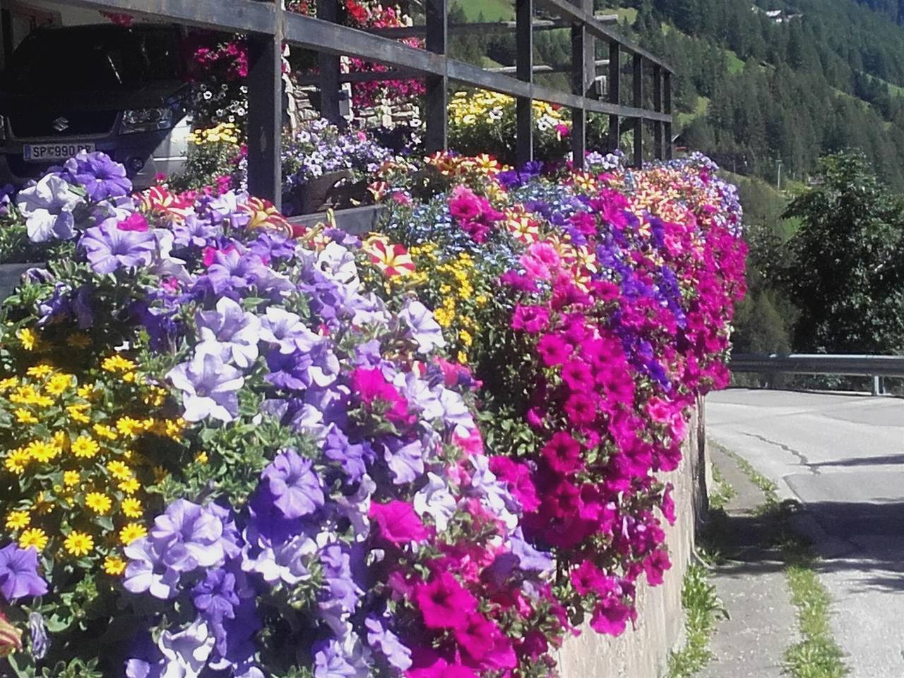 Ganze Ferienwohnung, Ferienwohnung Hohe Wand in Heiligenblut, Oberkärnten
