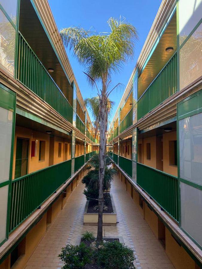 Gîte pour 3 personnes, avec jardin et vue dans l'Eucaliptus - 4