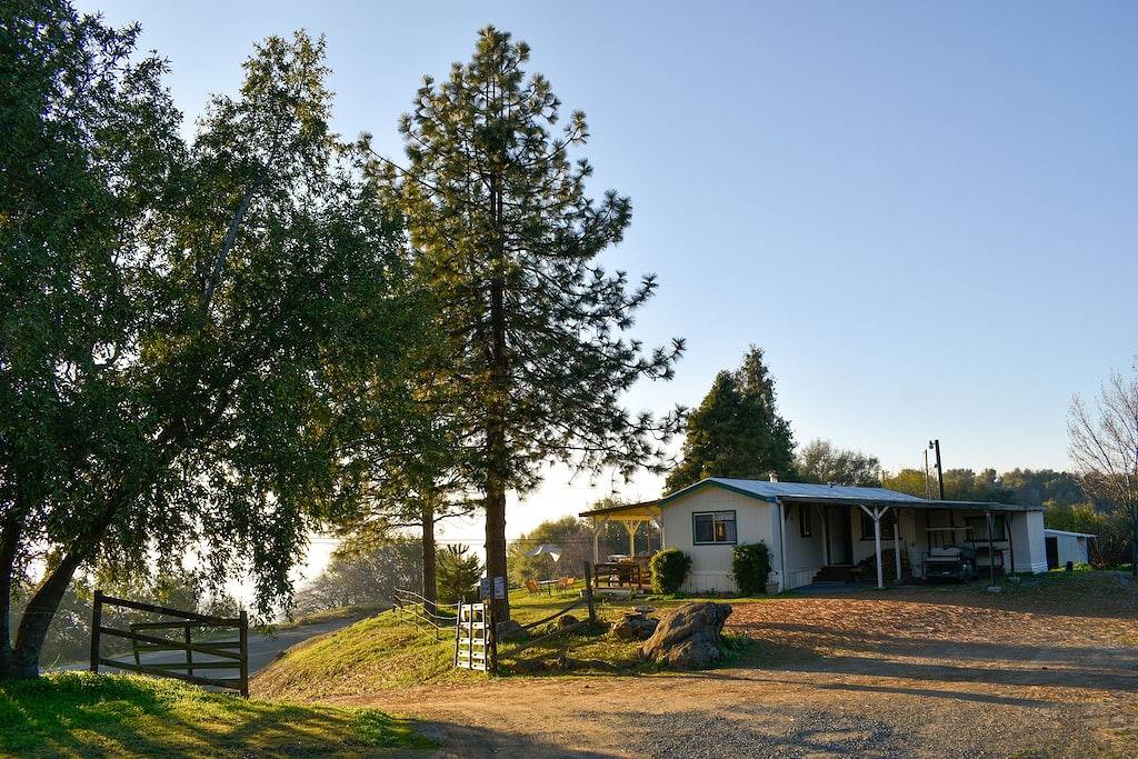 Sundew View/ Kings Canyon/Sequoia National Parks in Kings Canyon Nationalpark