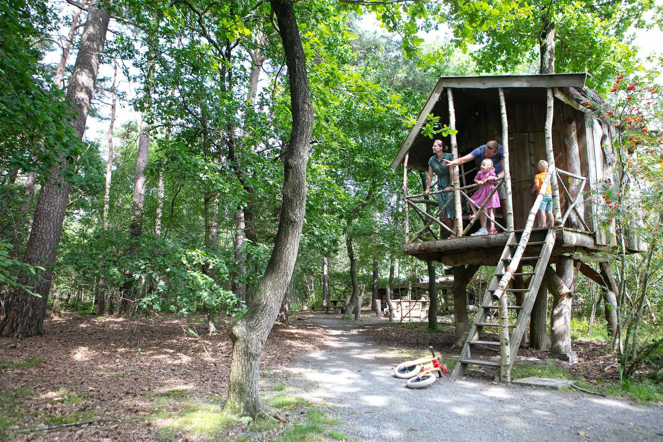 Camping en Bungalowpark de Norgerberg — Baumhaus in Drenthe