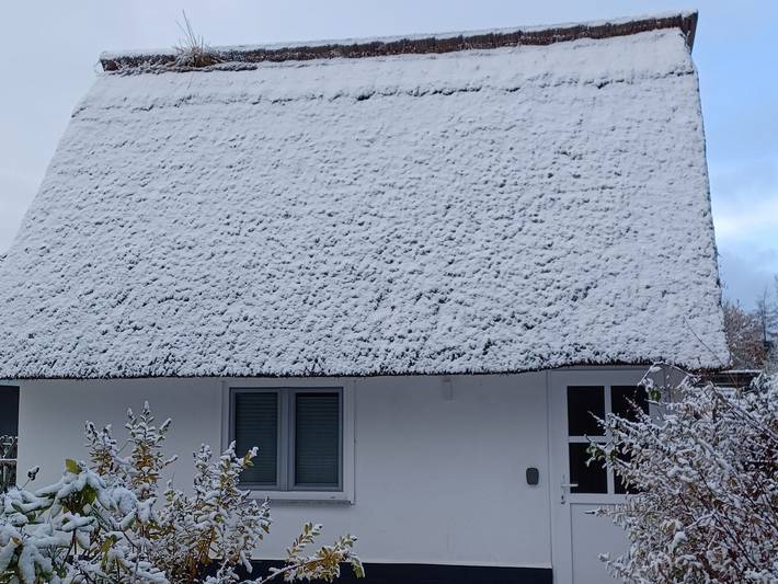 Ferienhaus für 2 Personen, mit Terrasse und Garten auf Fischland - Darß - Zingst - 3