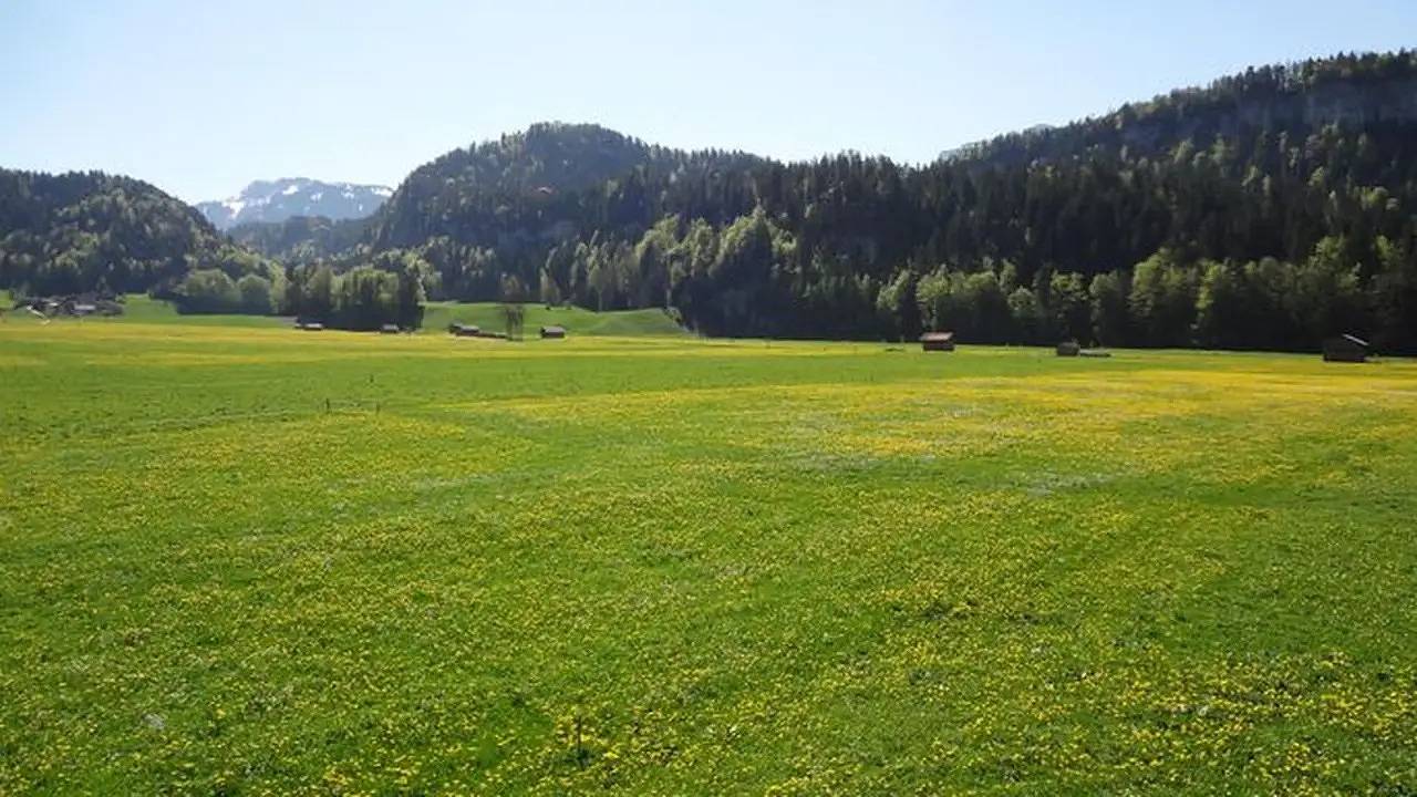 Ganze Ferienwohnung, Ferienwohnung für 7 Personen (100 m²) in Bezau in Bezau, Bregenzerwald