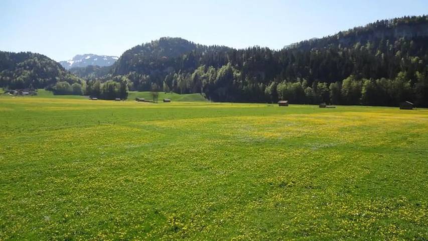 Ferienwohnung für 7 Personen, mit Garten in Bezau - 4