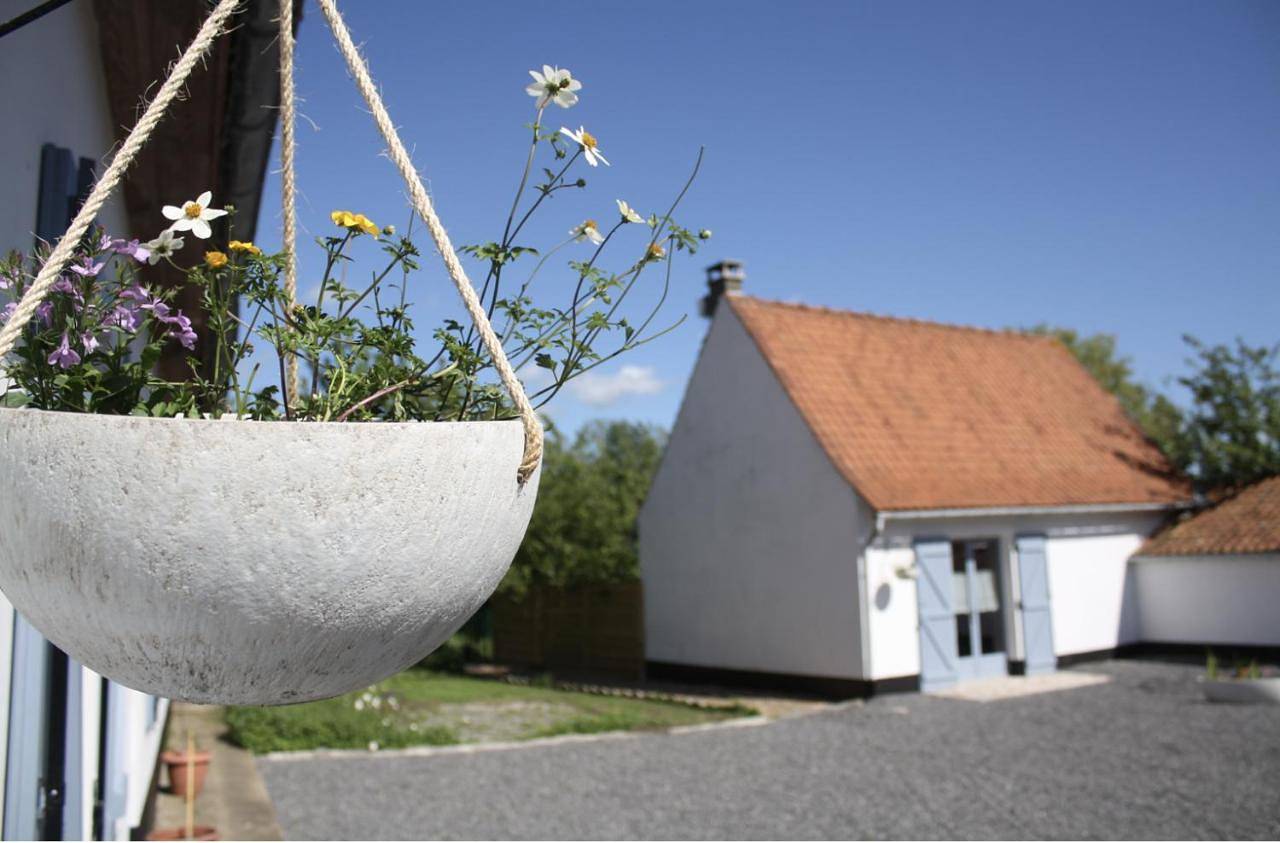 A l'ombre du prunier in Licques, Région de Calais