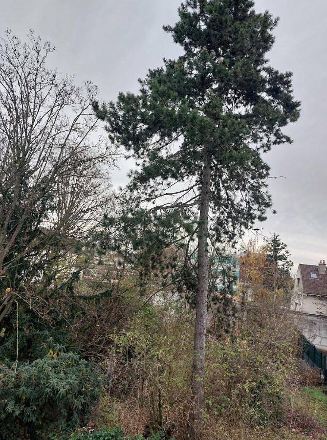 Gîte pour 3 personnes, avec jardin et balcon à Saint-Cloud - 3