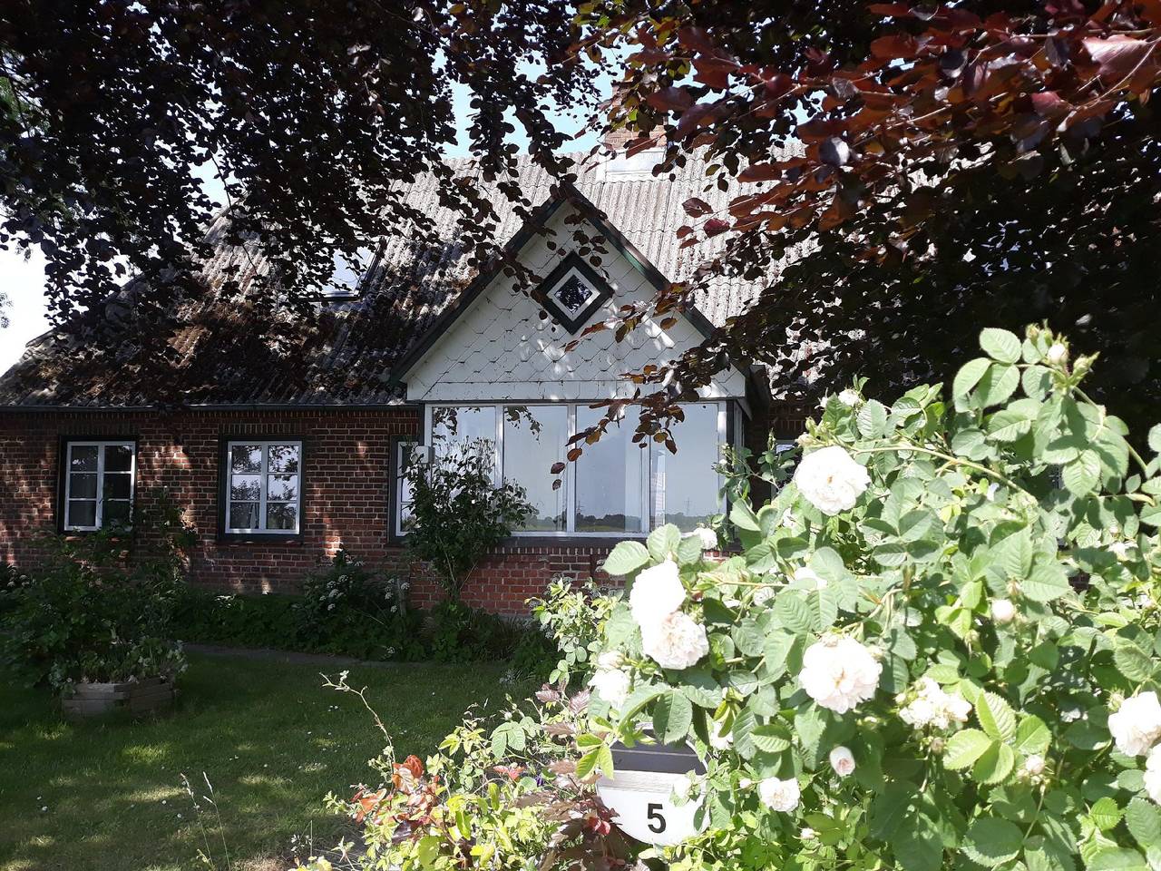 Ferienhaus Vogelsang in Stoltebüll in Stoltebüll, Kappeln & Umgebung