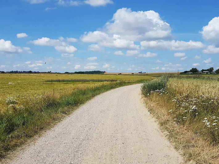 Ferienhaus für 6 Personen, mit Garten und Terrasse, mit Haustier in Diernæs - 2