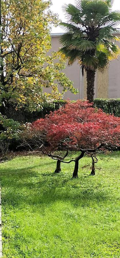Appartamento per 3 persone, con Balcone e Panorama a Lainate