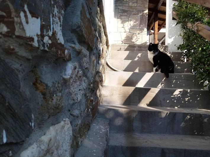 Apartment for 5 people, with balcony and garden in Halkidiki