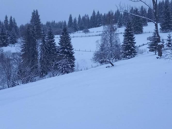 Location de vacances pour 14 personnes, avec vue ainsi que jardin et balcon dans Dorna-Arini - 3