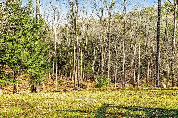Vacation house for 10 people, with balcony and yard, with pets in Adirondack Mountains