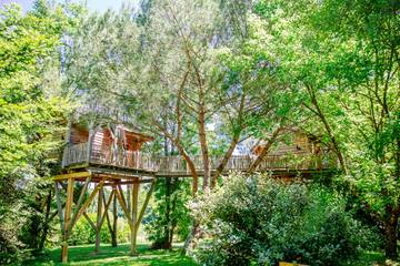 Cabane dans les arbres pour 5 personnes, avec piscine en Gironde