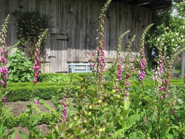 Ferienwohnung für 4 Personen in Bispingen, Nordheide, Bild 3