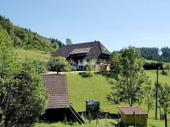 Ferienhaus für 4 Personen, mit Garten und Balkon in Schenkenzell