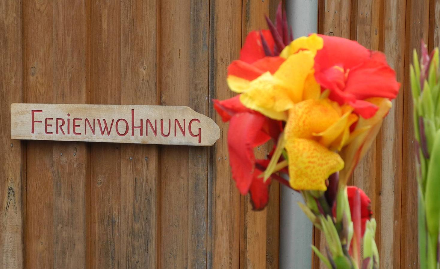 Ganze Ferienwohnung, Ferienwohnung Wroko - Ferienwohnung, 2 Zimmer, mit Terrasse, max. 3 Personen in Wehrheim, Hochtaunuskreis