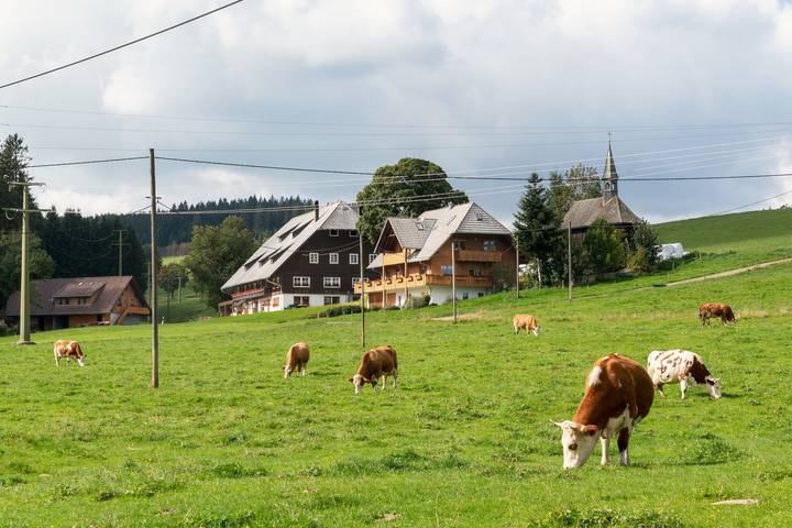 Vacation rental for 5 people, with Yard in Baden Wuerttemberg