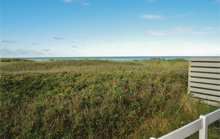 Ferienhaus für 4 Personen, mit Terrasse, mit Haustier in Dänemark an der Nordsee - 3