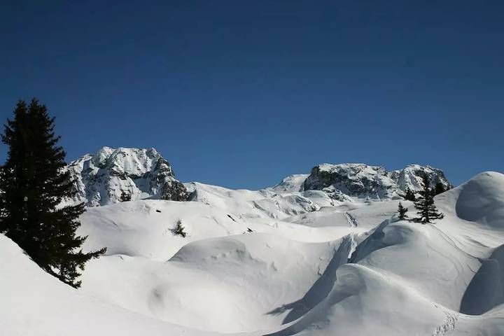 Chalet pour 7 personnes, animaux acceptés dans La Plagne - 4