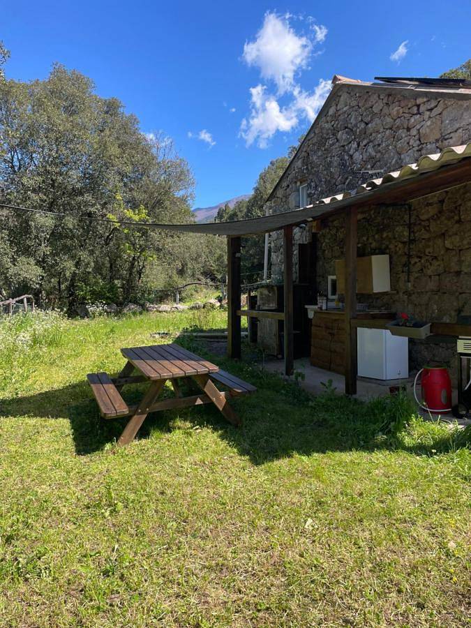 Location de vacances pour 2 personnes, animaux acceptés à Olivese - 4