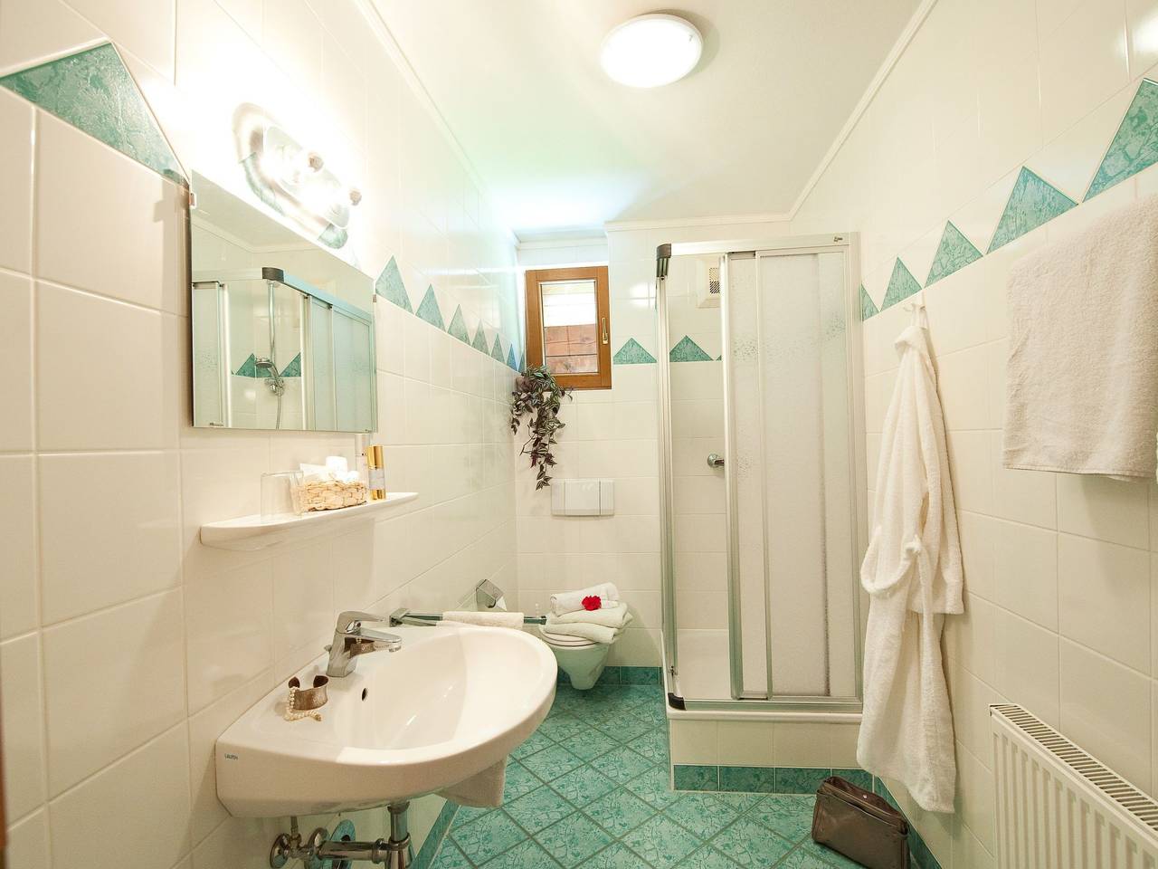 Ganze Wohnung, Hartlbauer in Dorfgastein in Dorfgastein, Ski Amadé